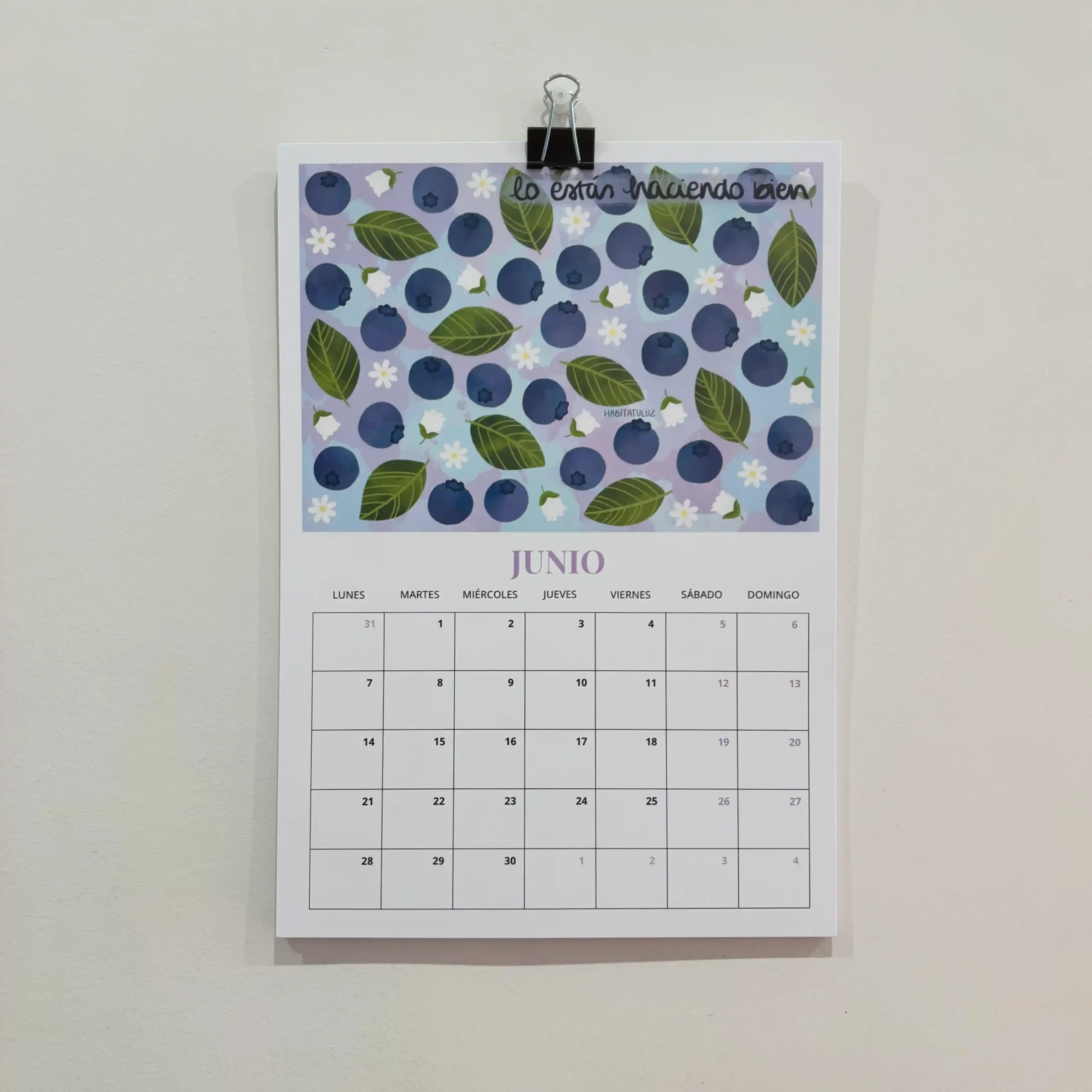 Calendario ilustrado 2027 frutas - Imagen 4